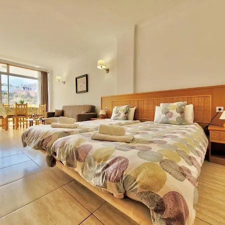 Palm View * Puerto de la Cruz (Tenerife)