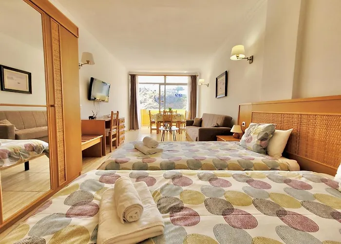 Palm View * Puerto de la Cruz (Tenerife)